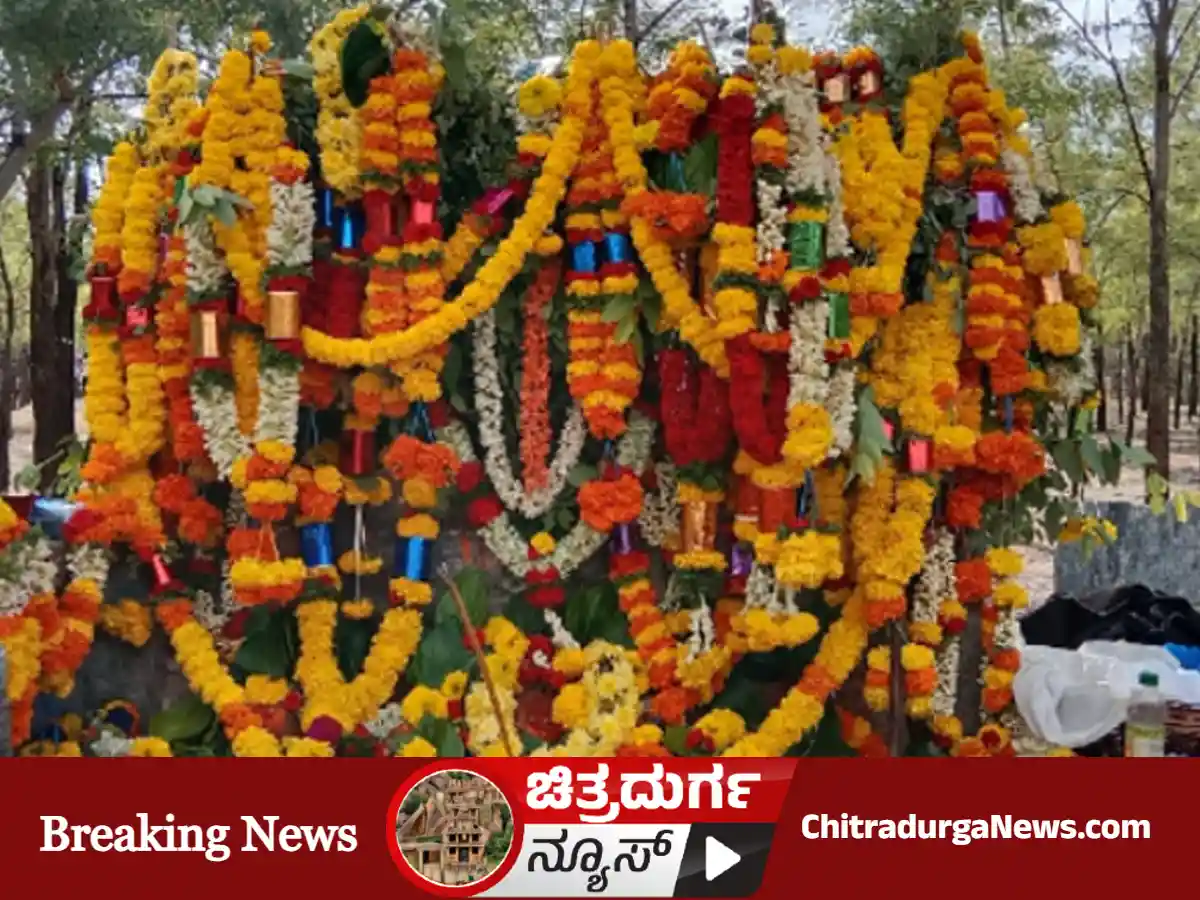 Hunsehuli Nagappa, Doddachellur, Kamarada Kadu, Nagara Panchami