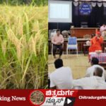 ಏರೋಬಿಕ್ ಭತ್ತ
