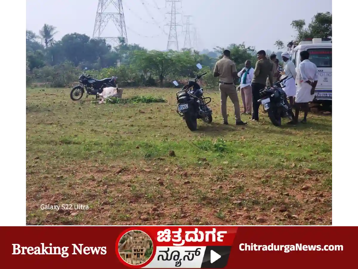 ಎತ್ತಿನ ಹತ್ಯೆ ನಡೆದಿರುವ ಸ್ಥಳ