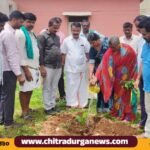 ಹೆಚ್.ಡಿ.ಪುರದಲ್ಲಿ ಪರಿಸರ ದಿನಾಚರಣೆ