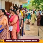 mlc voting 1