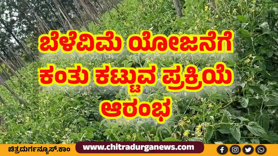 ಬೆಳೆವಿಮೆ