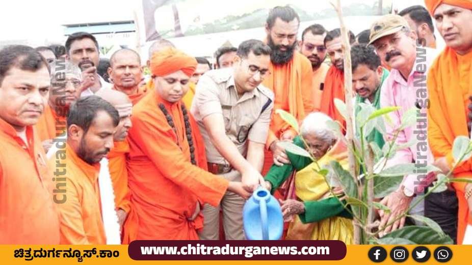 ಸಸಿ ನೆಟ್ಟ ವೃಕ್ಷಮಾತೆ ಸಾಲುಮರದ ತಿಮ್ಮಕ್ಕ
