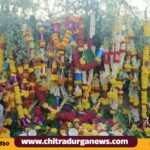 ಚಳ್ಳಕೆರೆ ತಾಲ್ಲೂಕಿನ ದೊಡ್ಡಚೆಲ್ಲೂರು ಗ್ರಾಮದ ಅರಣ್ಯದಲ್ಲಿರುವ ನಾಗರಕಲ್ಲು ಮತ್ತು ಹುತ್ತಕ್ಕೆ ವಿಶೇಷ ಹೂಗಳಿಂದ ಅಲಂಕರಿಸಲಾಗಿತ್ತು