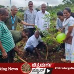 ನಗರದ ಜೋಗಿಮಟ್ಟಿ ರಸ್ತೆಯ ಪಕ್ಕದಲ್ಲಿರುವ ಹಿಂದೂ ರುದ್ರಭೂಮಿಯಲ್ಲಿ ಸಸಿ ನಡೆಲಾಯಿತು