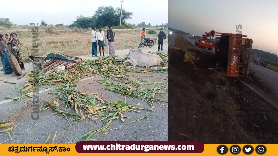 Bullock cart lorry accident