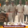 sandalwood theft case