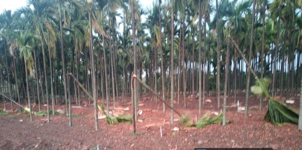 ಮಳೆ